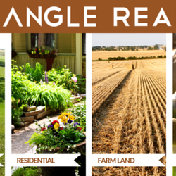 Triangle Realty - Triangel Realty Cover Photo
