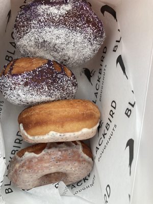Blackbird Doughnuts / Sally's Sandwiches - Brighton by null