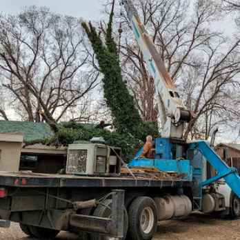 Terry's Tree Service - Tree Services Near Me