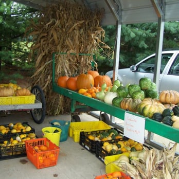Harvey's Farm - Pumpkins, gourds, squash and fall decorations! - Farmers Market Near Me - Tekonsha, Michigan Harvey's Farm - Pumpkins, gourds, squash and fall decorations! - Farmers Market Near Me - Tekonsha, Michigan