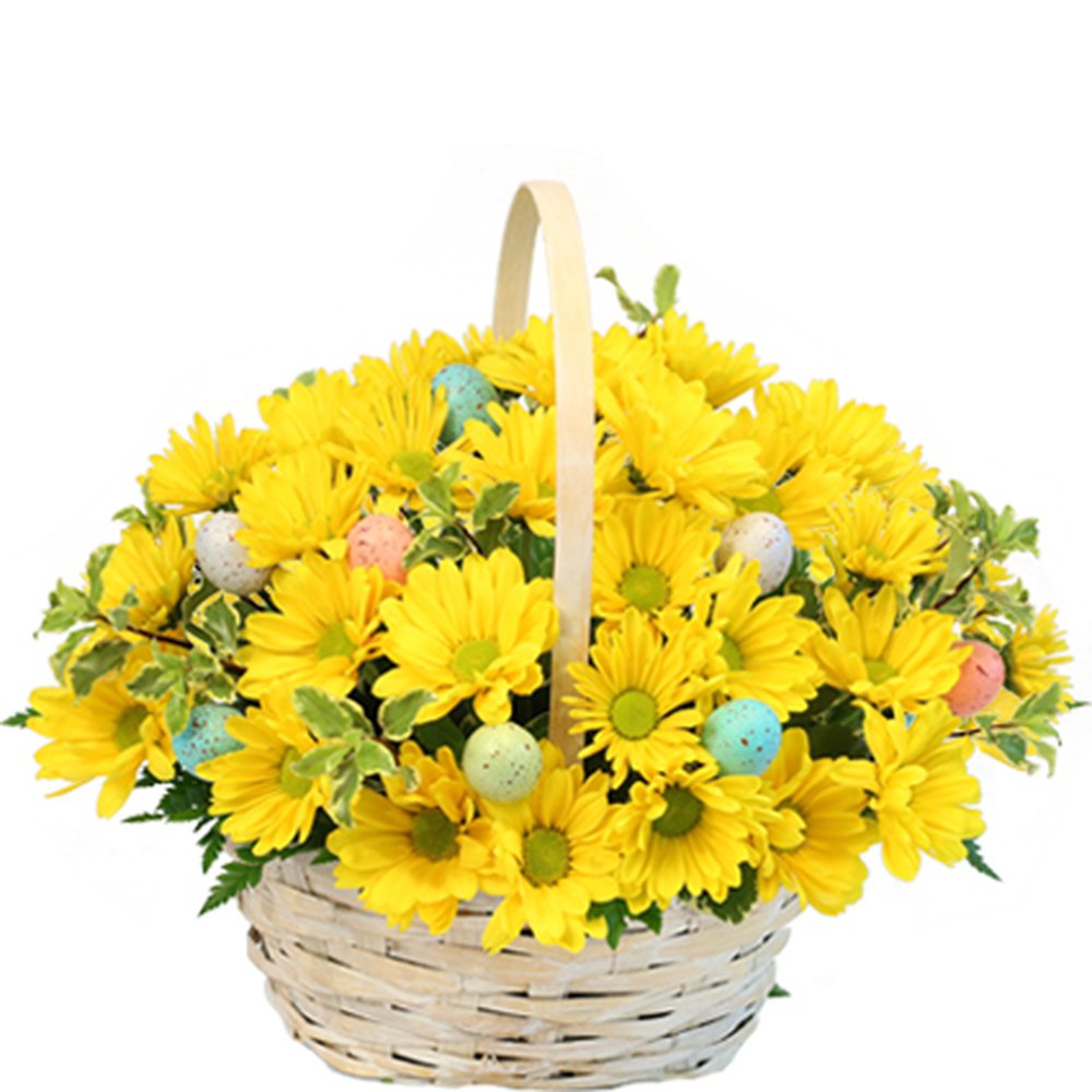 Flowers In Kittanning Pa Best Flower Site