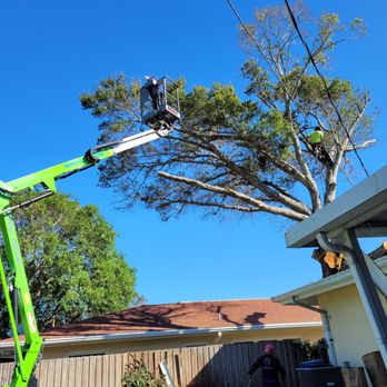DeForest Tree and Property Maintenance - Landscaping Near Me DeForest Tree and Property Maintenance - Landscaping Near Me