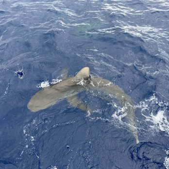 Grand Slam - Fishing Near Me - Haleiwa, Hawaii Grand Slam - Fishing Near Me - Haleiwa, Hawaii