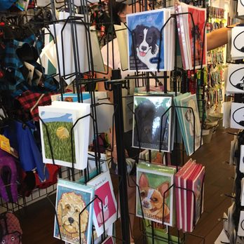 Paws & Whiskers - Dog cards - Pet Stores Near Me - Provincetown, Massachusetts Paws & Whiskers - Dog cards - Pet Stores Near Me - Provincetown, Massachusetts