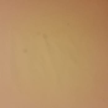 Motel 6 - Hotels Near Me - Rohnert Park, California