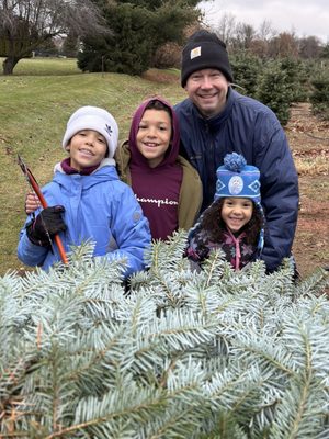 CANDY CANE CHRISTMAS TREE FARM - Updated June 2026 - 12 Photos & 18 ...