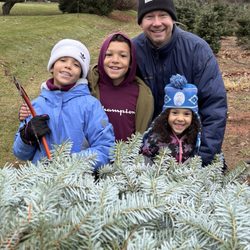 Candy Cane Christmas Tree Farm