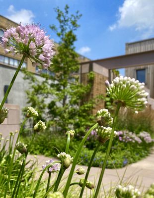 Carroll Hall by null