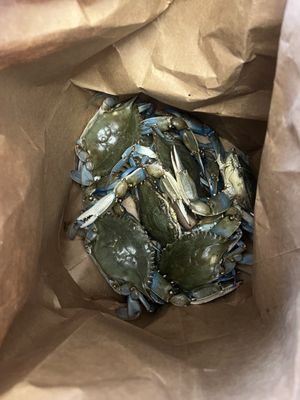 Nick's Crab Market by null