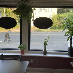 Tomato & Garlic Pizzeria - Fr window looking out because I couldn't take an inside pic w all the customers in the way - place is nice n clean!!