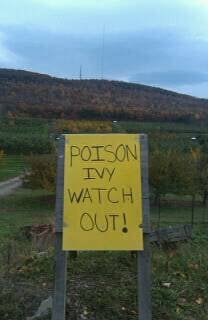 Wilklow Orchards by null