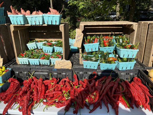 Douglass Loop Farmers Market by null