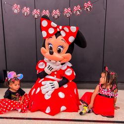 Project Princess