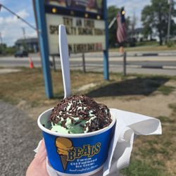 Mint Chocolate Chip...a small...