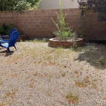 Green Peak Landscaping - Before Pictures: Cut & Spray Service - Landscaping Near Me