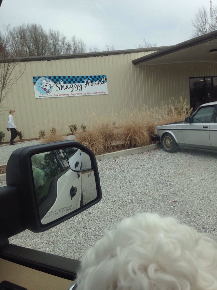 SHAGGY HOUND Updated August 2024 620 Yellow Jacket Dr, Starkville, Mississippi Pet