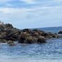 Photo of Playa Publica