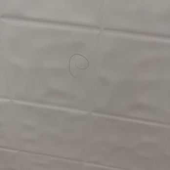 Landmark Vacation Rentals - Dirty bathroom- hair - Vacation Rentals Near Me - Surf City, North Carolina