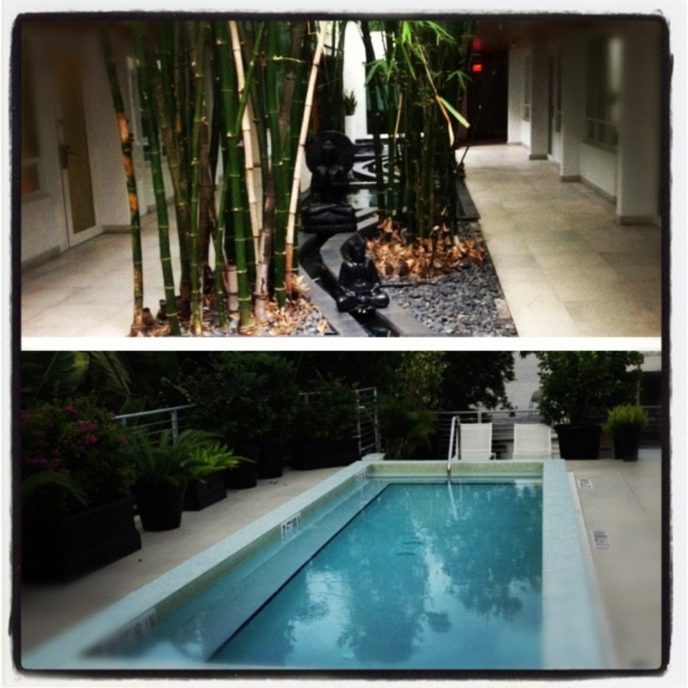 Sanctuary - It is truly a sanctuary - Hotels Near Me - Miami Beach, Florida Sanctuary - It is truly a sanctuary - Hotels Near Me - Miami Beach, Florida
