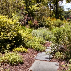 Greenway Meadows Park - Late Summer in the garden