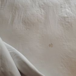 Quality Inn - Blood Stain on sheet!