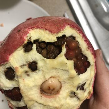 Target - Rotting pomegranate, the same day I bought it. - Department Stores Near Me - Riverside, California Target - Rotting pomegranate, the same day I bought it. - Department Stores Near Me - Riverside, California
