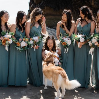 Stephanie Keegan Photography - Stephanie's dog, Luka, might make a special appearance if you like dogs! - Event Photography Near Me Stephanie Keegan Photography - Stephanie's dog, Luka, might make a special appearance if you like dogs! - Event Photography Near Me
