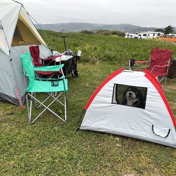 Kibbles 'n Gifts - Camping - Pet Stores Near Me - Half Moon Bay, California