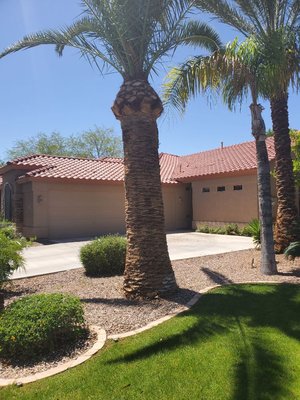 Landscape Maintenance - Lawn Maintenance - Landscape Maintenance