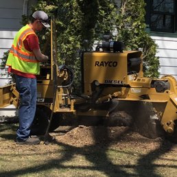 Stump grinding Stump grinding