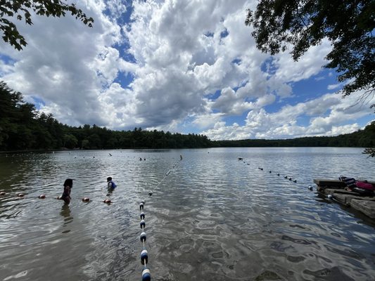Walden Pond State Reservation by null