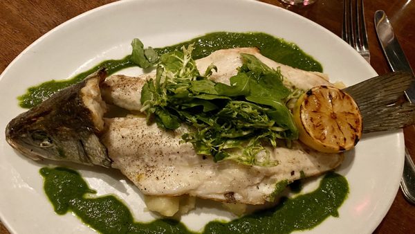 City Cellar Wine Bar & Grill by null