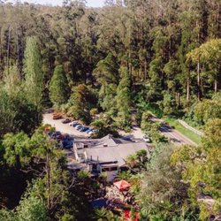 Micawber Tavern - Micawber Tavern - Belgrave discover the Sherbrooke Forest and the Dandenong Ranges