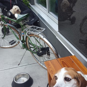 Reunion - Dogs are left leashed outside! - Breakfast & Brunch Near Me - Brooklyn, New York Reunion - Dogs are left leashed outside! - Breakfast & Brunch Near Me - Brooklyn, New York