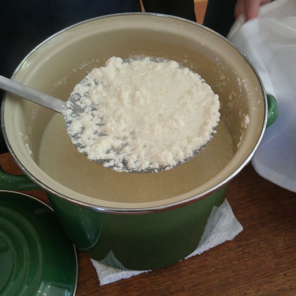 The Epicurean Connection - Scooping out curds of fresh ricotta! - Caterers Near Me - Sonoma, California The Epicurean Connection - Scooping out curds of fresh ricotta! - Caterers Near Me - Sonoma, California