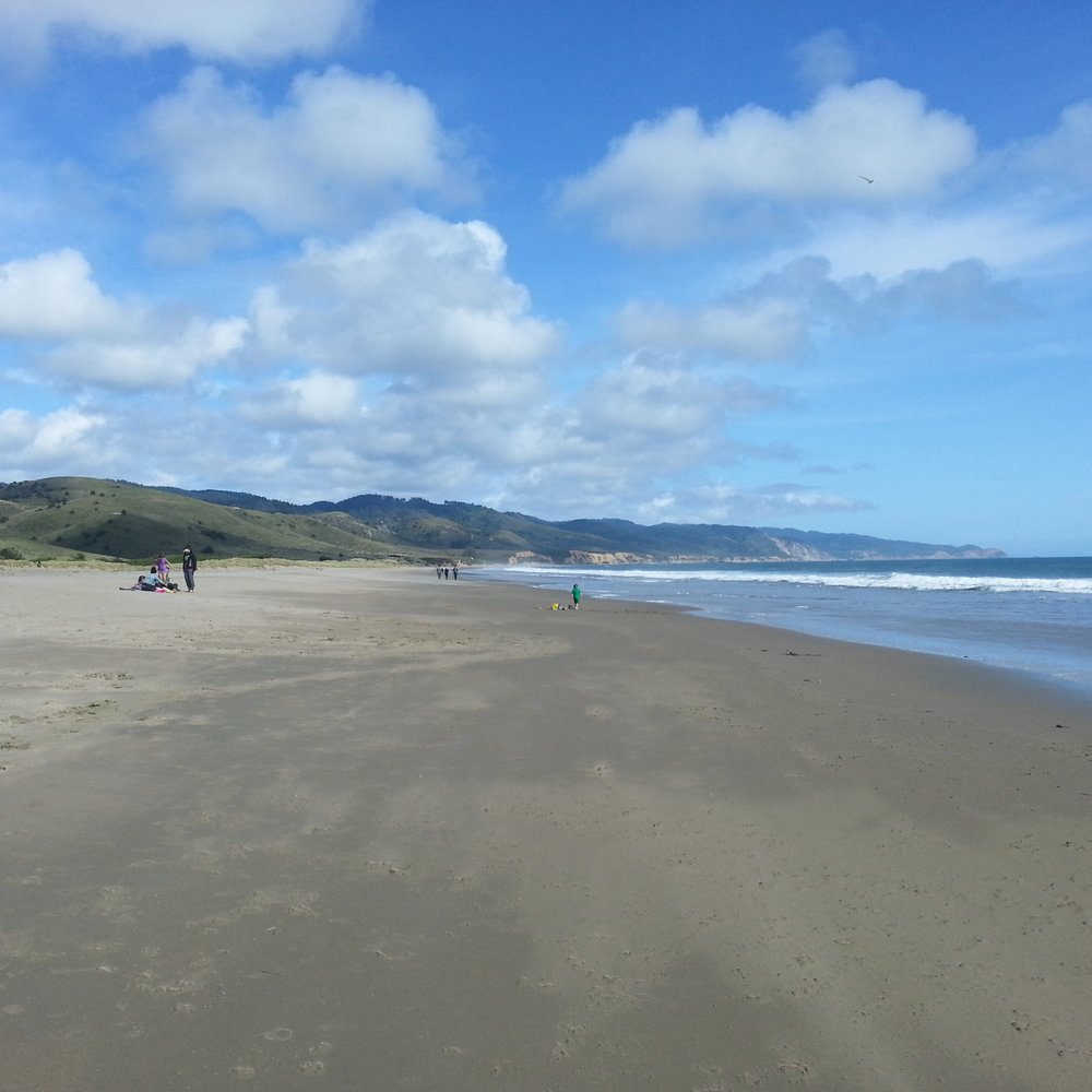 Limantour Beach - Gorgeous day, perfect weather! - Beaches Near Me - Point Reyes Station, California Limantour Beach - Gorgeous day, perfect weather! - Beaches Near Me - Point Reyes Station, California