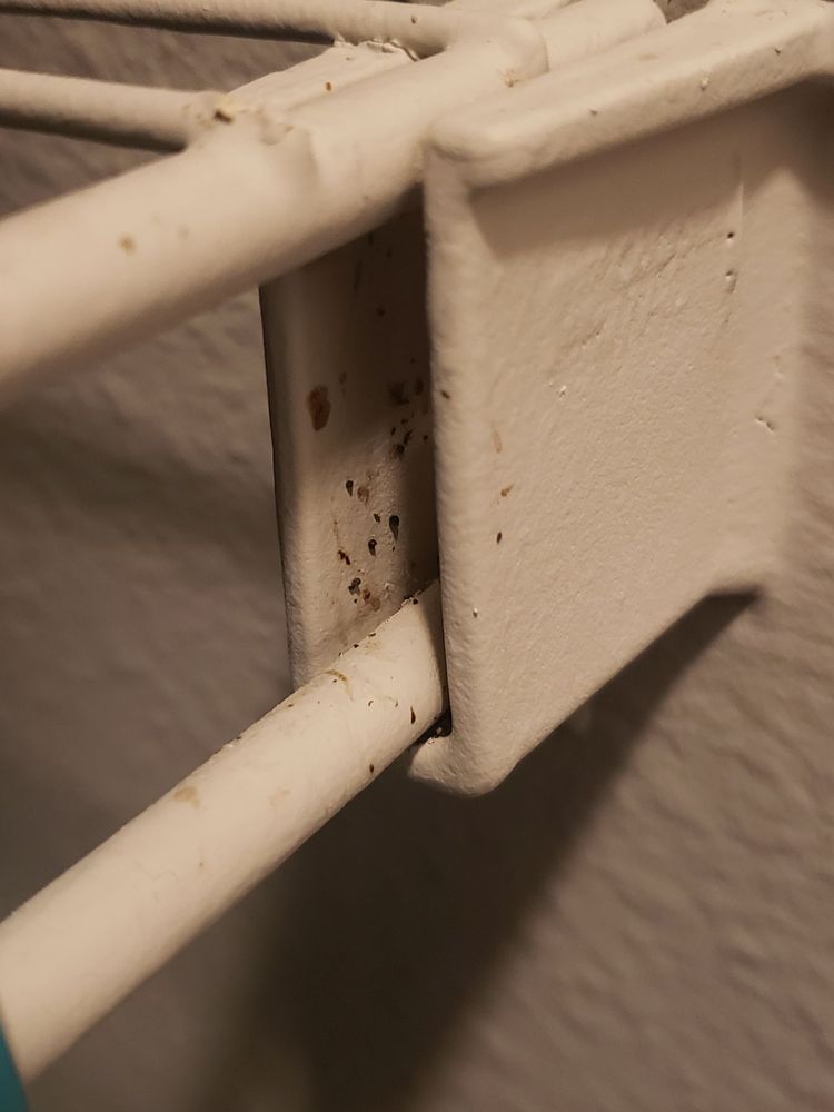 PALOMAR APARTMENTS Updated September 2024 86 Photos & 27 Reviews