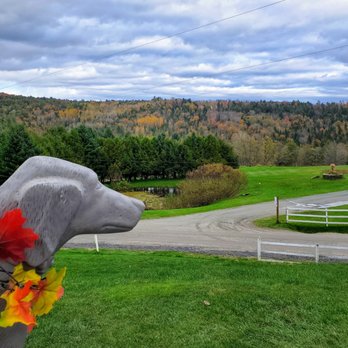 Dog Mountain - Dog Parks Near Me - St. Johnsbury, Vermont