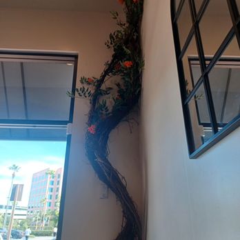 Pasta Viva - Cool interior - Italian Near Me - Irvine, California