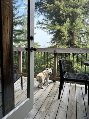 Alila Ventana Big Sur by null