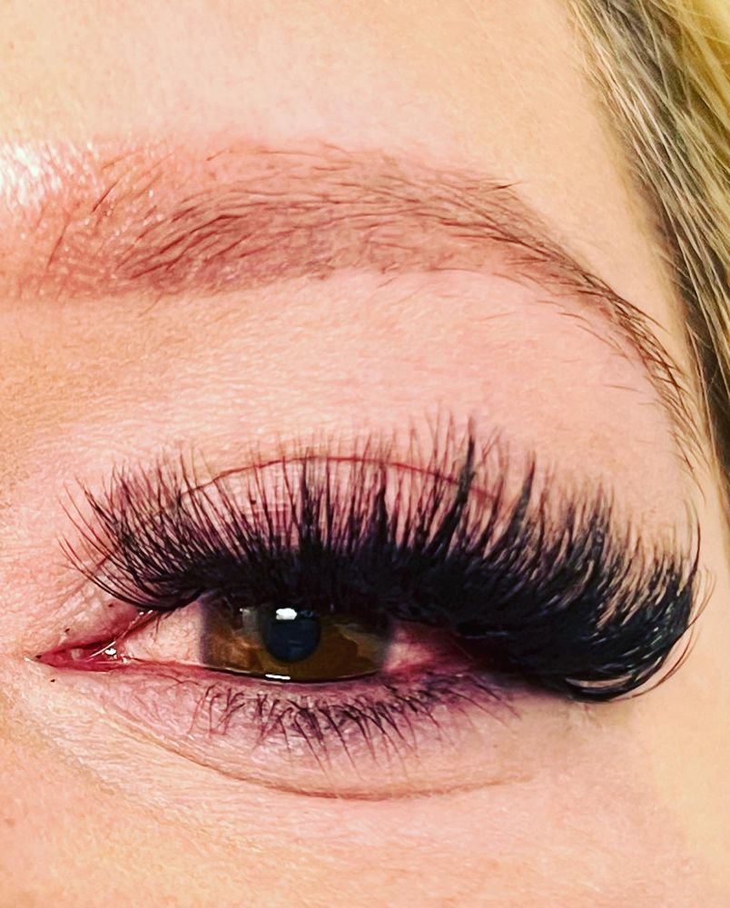 Professional Hollywood Beauty Logo