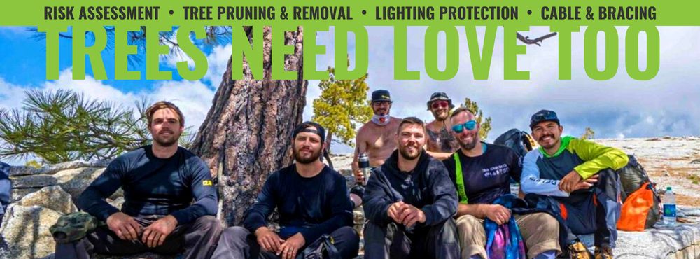 Pleasant Trees - tree service in Annapolis, MD