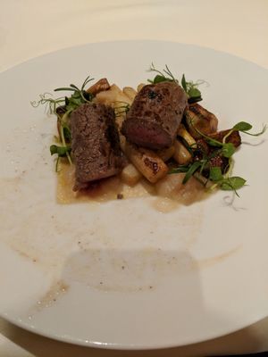 Modrzewie Park Hotel & SPA by null