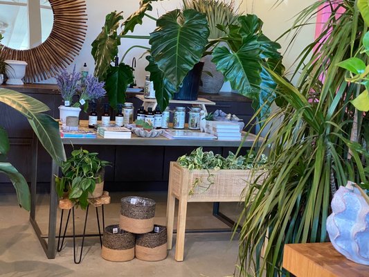 Botanical Bakeshop by null