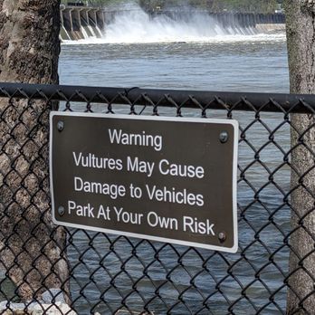 Conowingo Fisherman's Park - Parks Near Me - Darlington, Maryland Conowingo Fisherman's Park - Parks Near Me - Darlington, Maryland