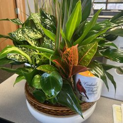 Edd, The Florist