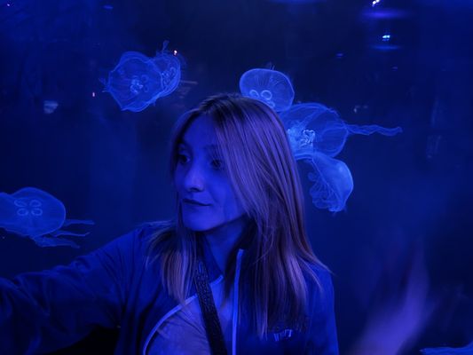 Newport Aquarium by null