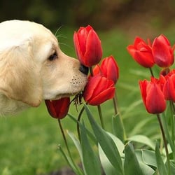 Grand Design Florist - Everyone loves to stop and smell the flowers.
