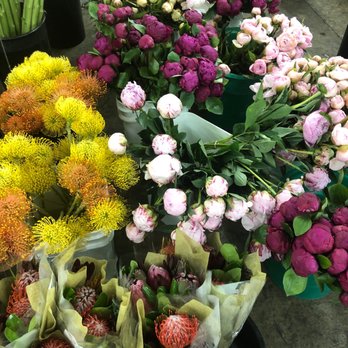 Berkeley Florist Supply Company - Florists Near Me - Miami, Florida Berkeley Florist Supply Company - Florists Near Me - Miami, Florida