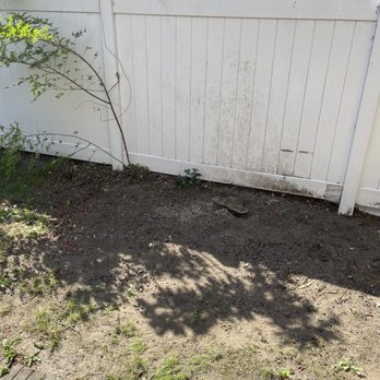 Express Tree Services - Tree Services Near Me - Freeport, New York